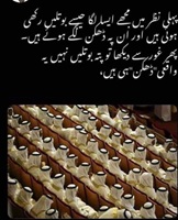 Muslim umma dhakkan